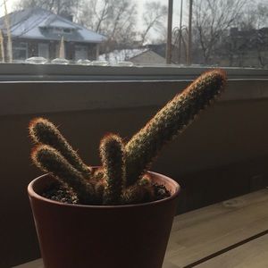 Meet your Posher, Miles